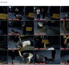 国产综合_GB-2771
