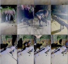 国产综合_GB-6080
