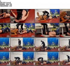国产综合_GB-6362