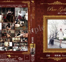 日本综合_PSD-07