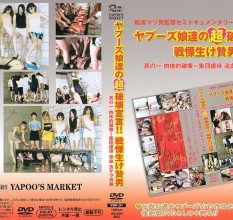 最新250218_YMF-31