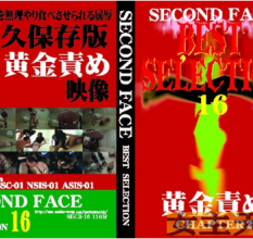 最新250218_SECB-16